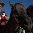 Ricciardo sur un cheval.jpg